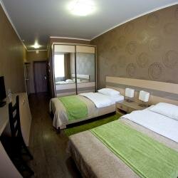 Гостиница Green Park Калуга-240