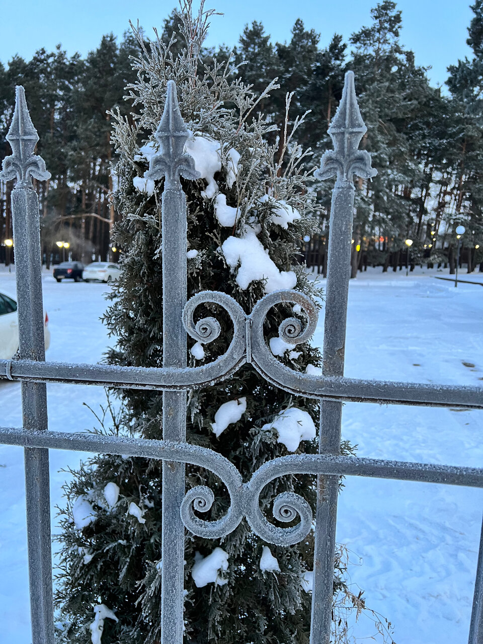 Гостиница Green Park Калуга-57