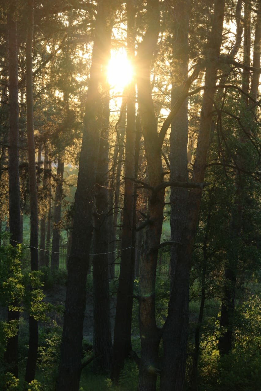 Гостиница Green Park Калуга-122