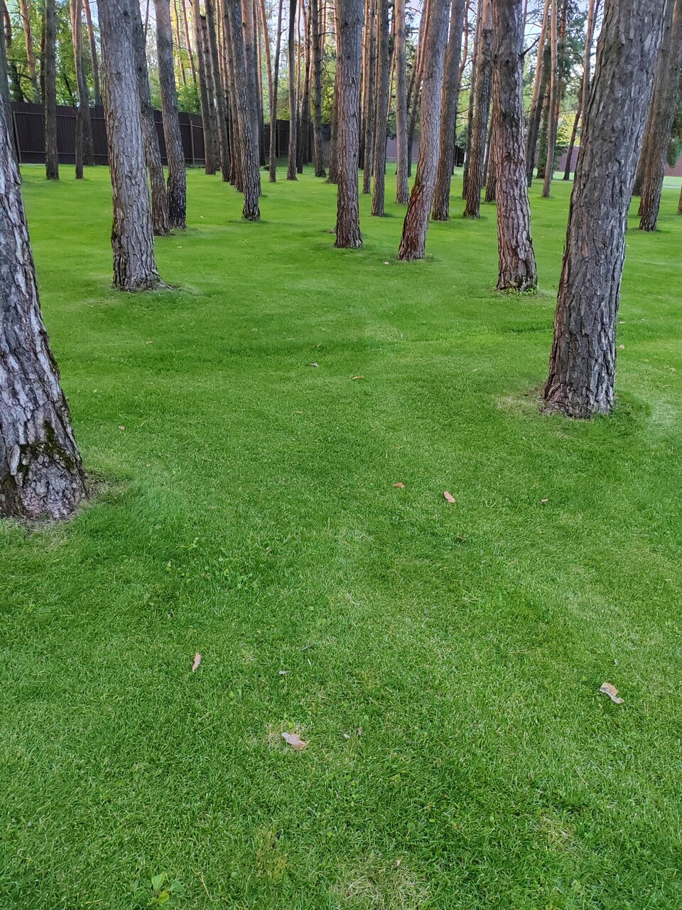 Гостиница Green Park Калуга-180