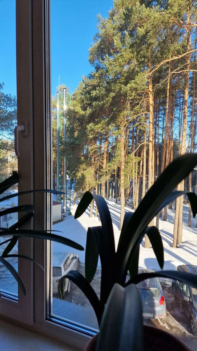 Гостиница Green Park Калуга-133