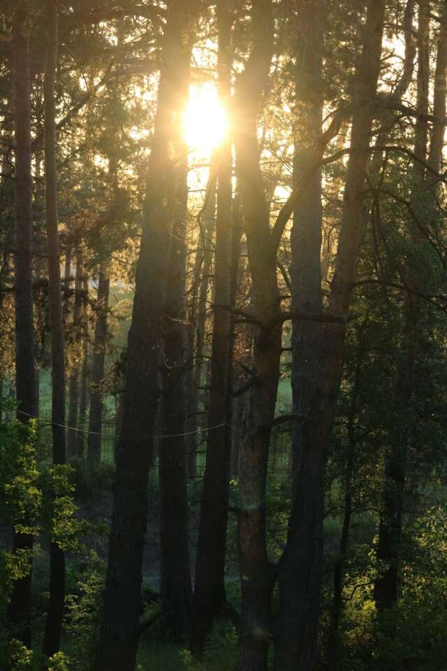 Гостиница Green Park Калуга-121