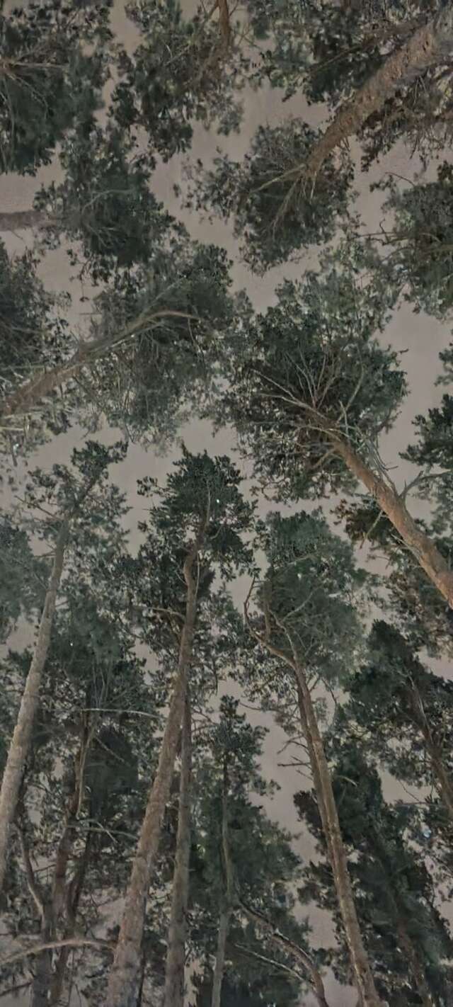 Гостиница Green Park Калуга-195